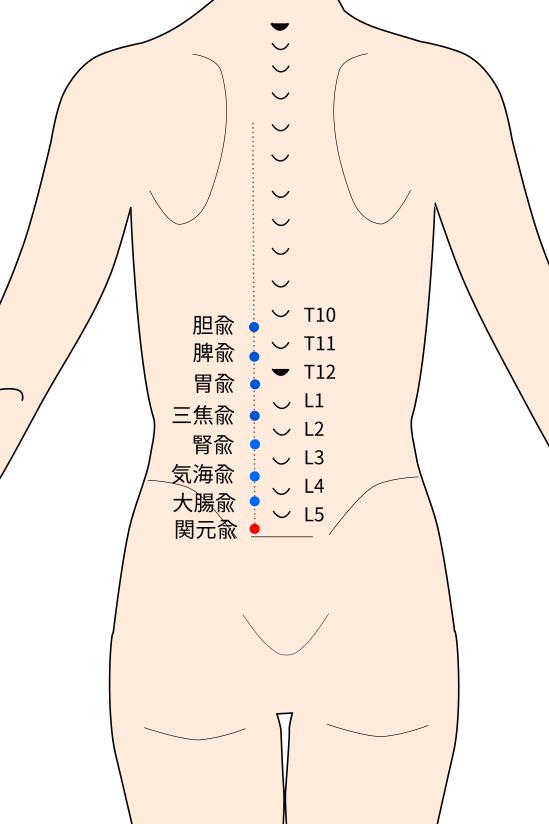 関元兪（かんげんゆ）穴の経穴イラスト