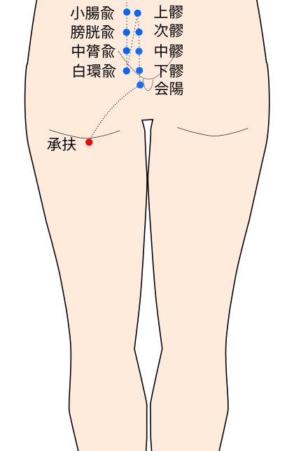 承扶（しょうふ）穴の経穴イラスト