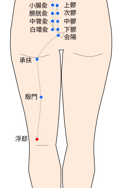 浮郄（ふげき）穴の経穴イラスト
