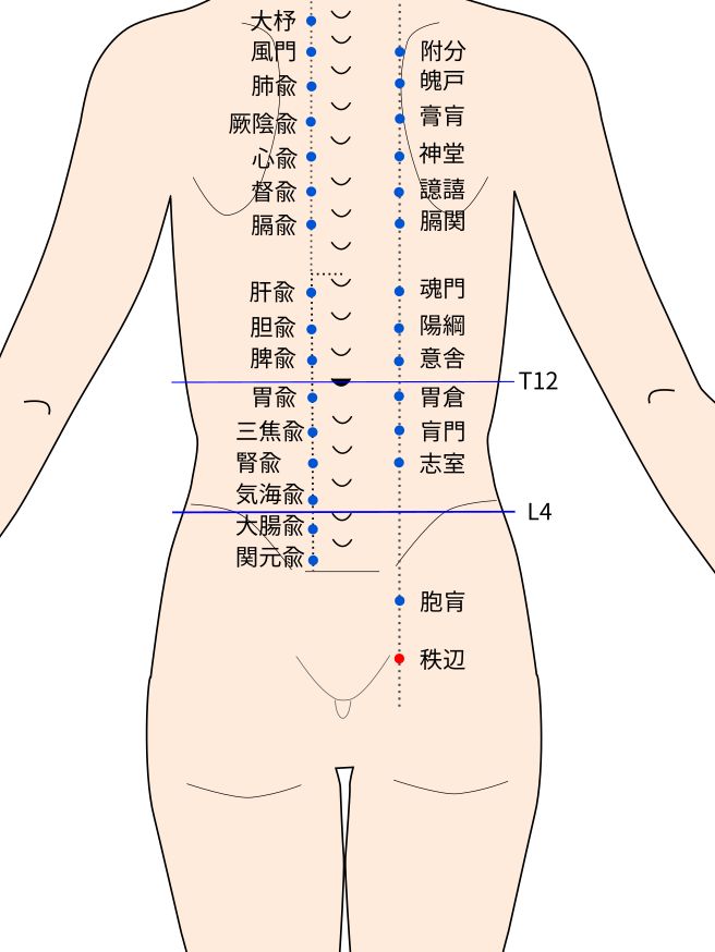 秩辺（ちっぺん）穴の経穴イラスト