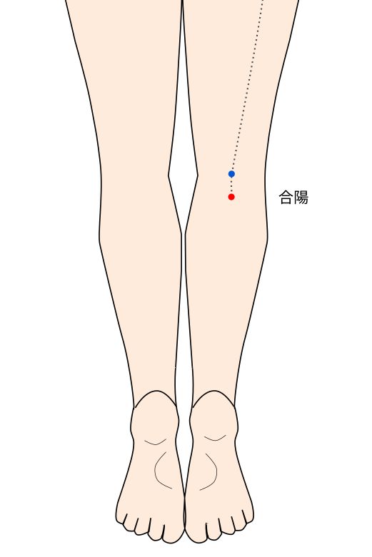 合陽（ごうよう）穴の経穴イラスト
