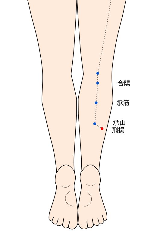 飛揚（ひよう）穴の経穴イラスト