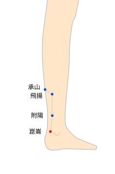 崑崙（こんろん）穴の経穴イラスト