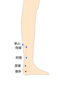 僕参（ぼくしん）穴の経穴イラスト