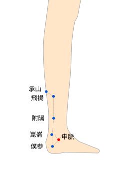 申脈（しんみゃく）穴の経穴イラスト
