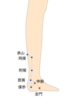 金門（きんもん）穴の経穴イラスト