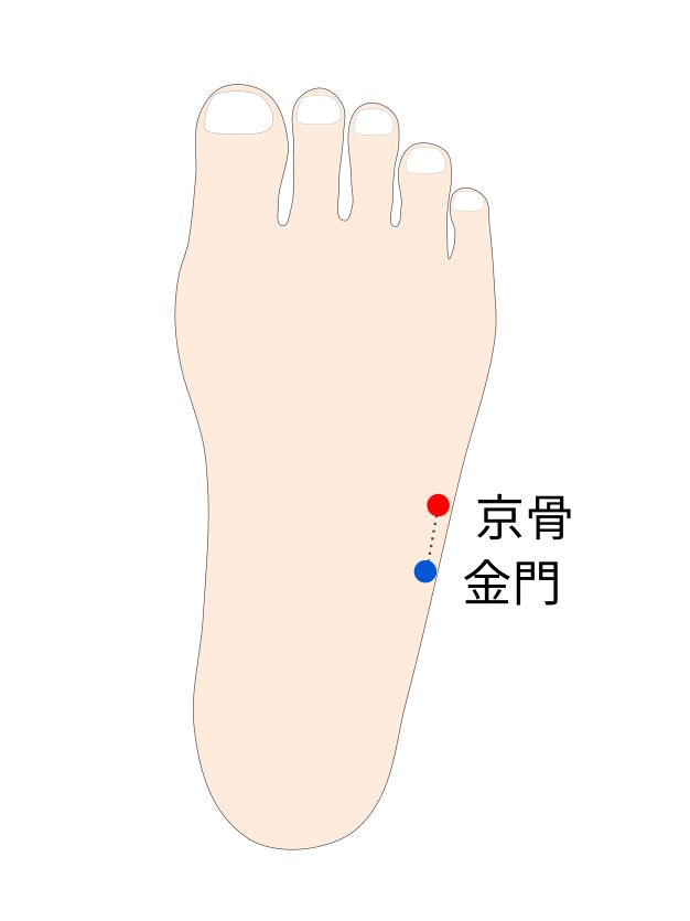 京骨（けいこつ）穴の経穴イラスト