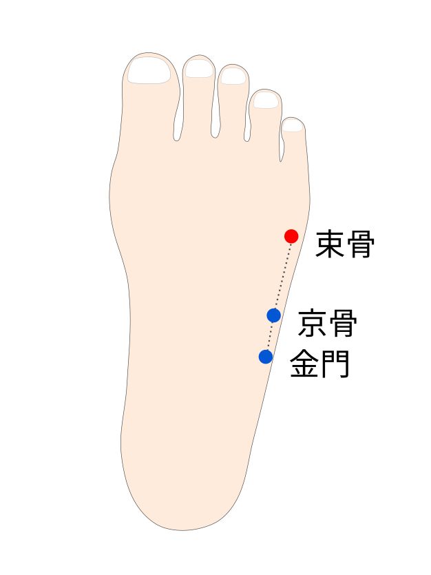 束骨（そっこつ）穴の経穴イラスト