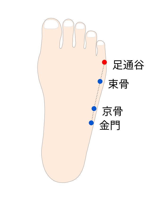足通谷(あしのつうこく)穴の経穴イラスト