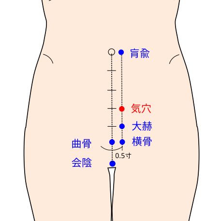 足少陰腎経の気穴(きけつ)イラスト