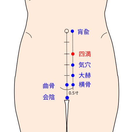 足少陰腎経の四満(しまん)イラスト