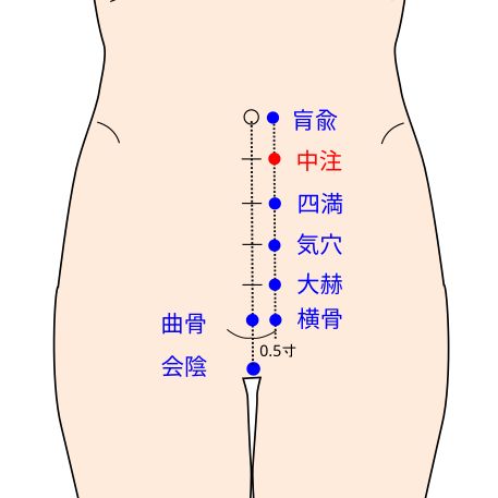 足少陰腎経の中注(ちゅうちゅう)イラスト