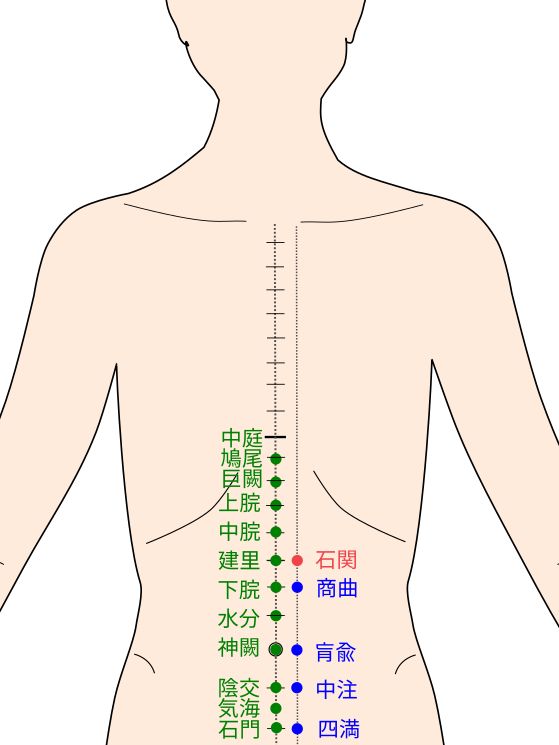 足少陰腎経の石関(せきかん)イラスト