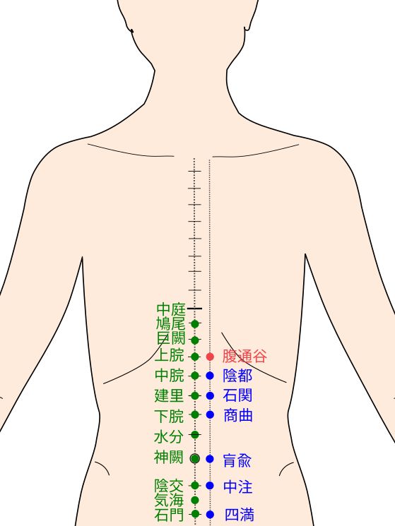 足少陰腎経の腹通谷（はらのつうこく）経穴（ツボ）イラスト