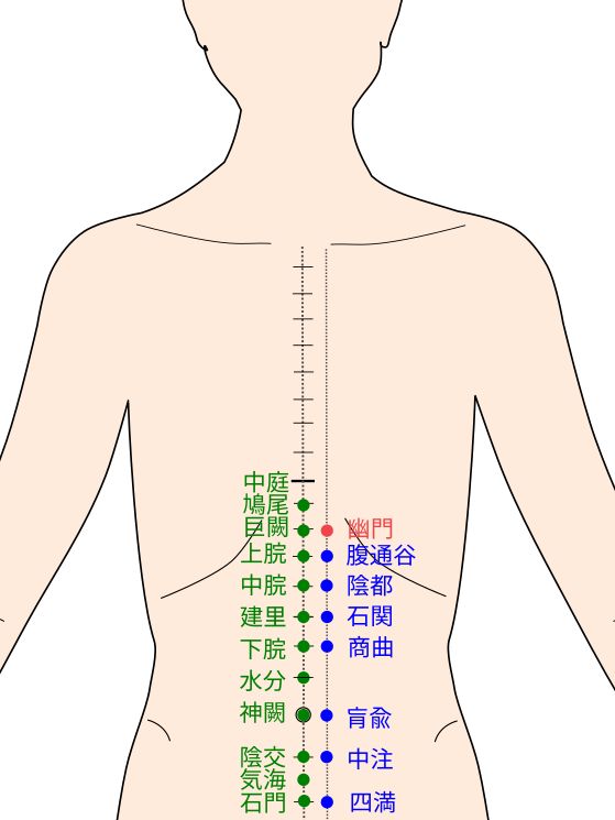 足少陰腎経の幽門（ゆうもん）経穴（ツボ）イラスト
