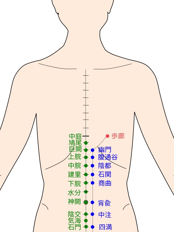 足少陰腎経の歩廊（ほろう）経穴（ツボ）イラスト