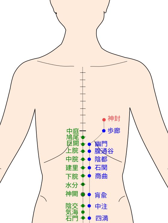 足少陰腎経の神封（しんぽう）経穴（ツボ）イラスト