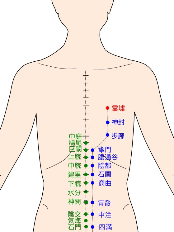 足少陰腎経の霊墟（れいきょ）経穴（ツボ）イラスト