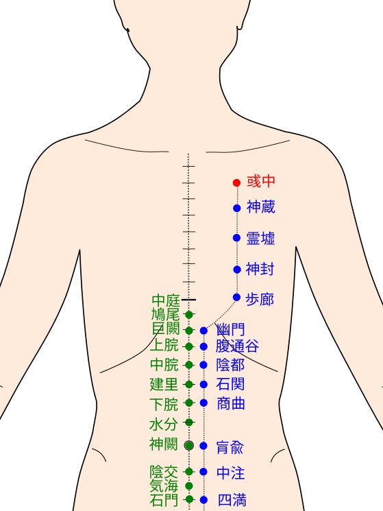 足少陰腎経の彧中(いくちゅう)経穴(ツボ)イラスト