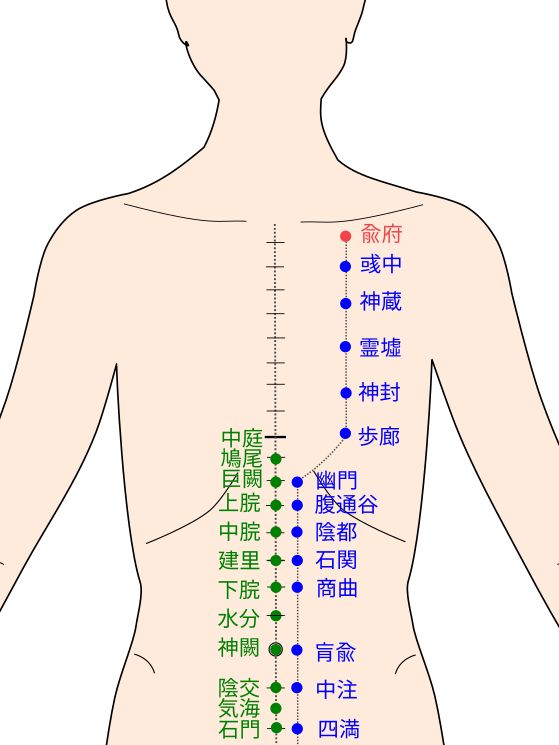 足少陰腎経の兪府(ゆふ)経穴(ツボ)イラスト