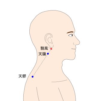翳風(えいふう)の経穴(ツボ)イラスト