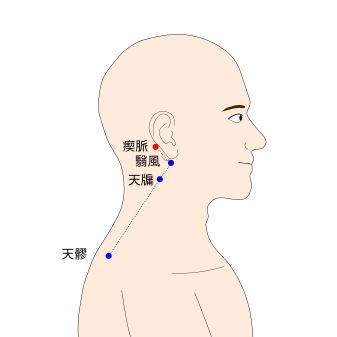 瘈脈(けいみゃく)の経穴(ツボ)イラスト