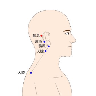 顱息（ろそく）の経穴（ツボ）イラスト