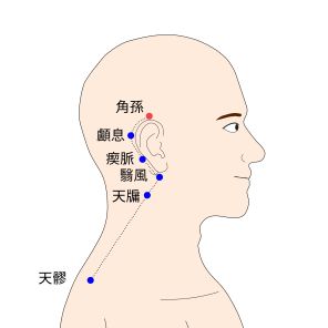 角孫（かくそん）の経穴（ツボ）イラスト