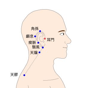耳門（じもん）の経穴（ツボ）イラスト