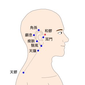 和髎（わりょう）の経穴（ツボ）イラスト