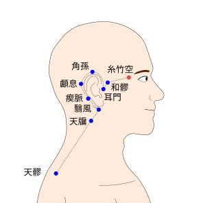 絲竹空（しちくくう）の経穴（ツボ）イラスト