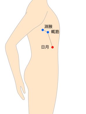 日月（じつげつ）経穴イラスト