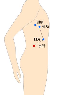 京門（けいもん）経穴イラスト