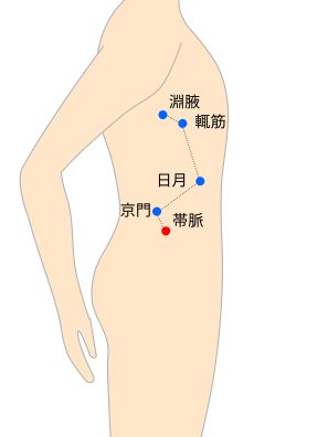 帯脈（たいみゃく）経穴イラスト