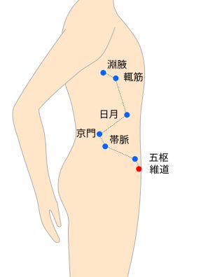 維道（いどう）経穴イラスト