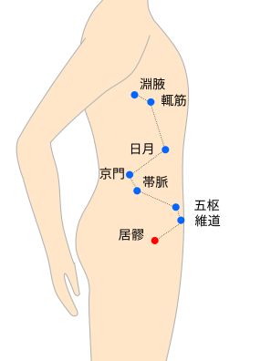 居髎（きょりょう）経穴イラスト