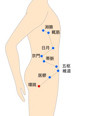 環跳（かんちょう）経穴イラスト