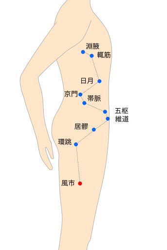 風市（ふうし）経穴イラスト