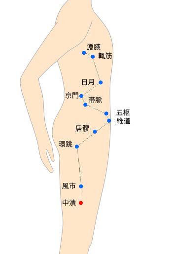 中瀆（ちゅうとく）経穴イラスト