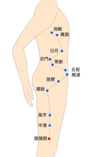 膝陽関（ひざのようかん）経穴イラスト