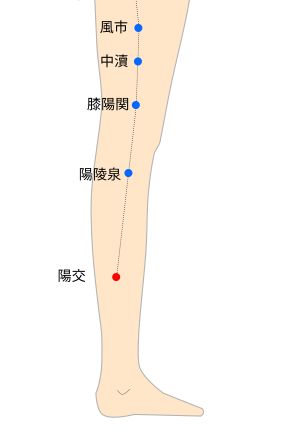 陽交（ようこう）経穴イラスト