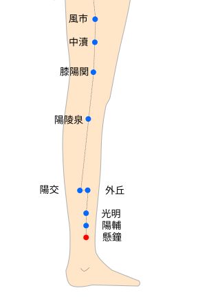 懸鐘（けんしょう）経穴イラスト