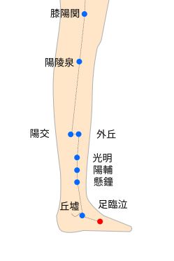 足臨泣（あしのりんきゅう）経穴イラスト
