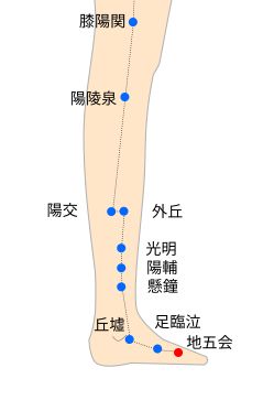 地五会（ちごえ）経穴イラスト
