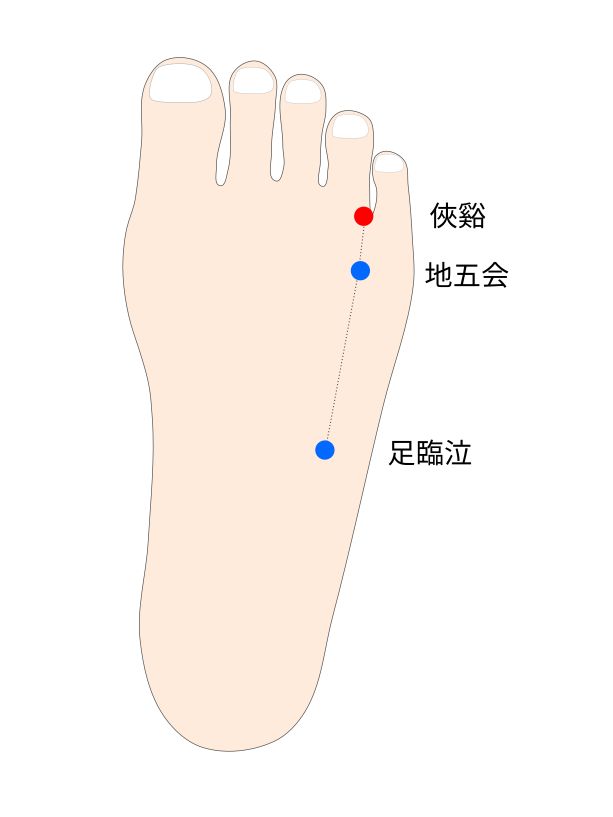 俠谿（きょうけい）経穴イラスト