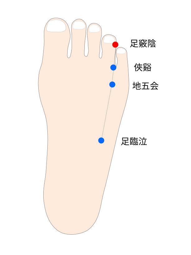 足竅陰（あしのきょういん）経穴イラスト