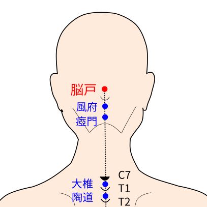 脳戸（のうこ）穴イラストと督脈