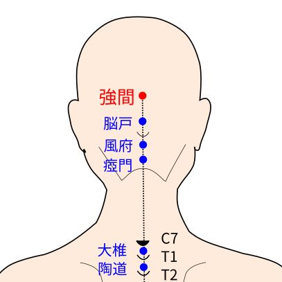 強間（きょうかん）穴イラストと督脈