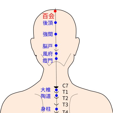 百会（ひゃくえ）穴イラストと督脈