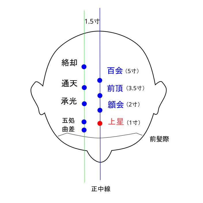 上星（じょうせい）穴イラストと督脈